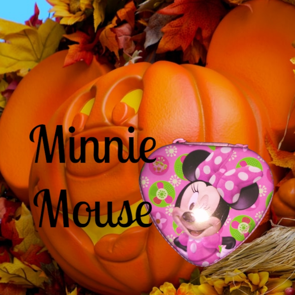 💖Minnie Mouse Trinket💖